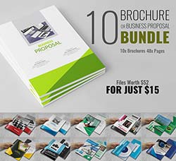 杂志/画册/手册模板(10套合集版)：Brochure or Business Proposal Bundle